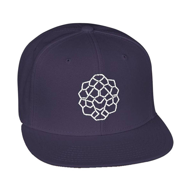 Snapback cap with an embroidered emblem representing a turtle, front