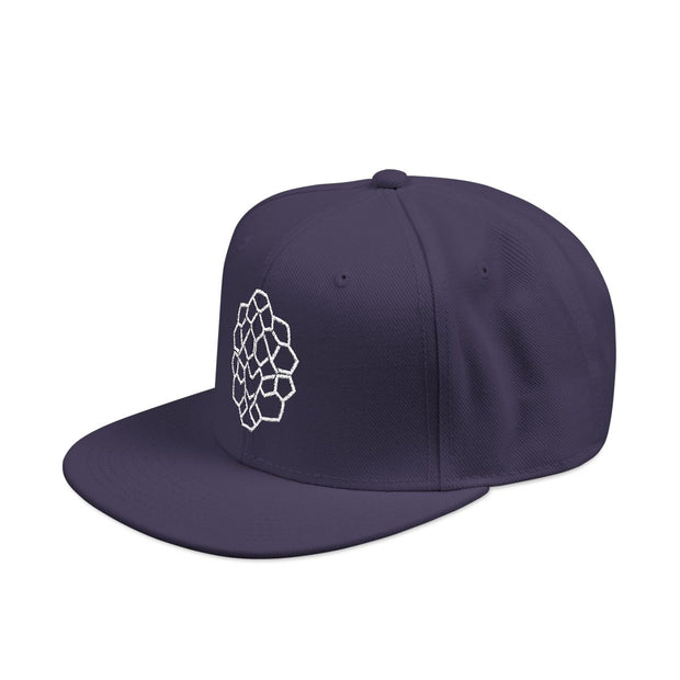 Snapback cap with an embroidered emblem representing a turtle, side